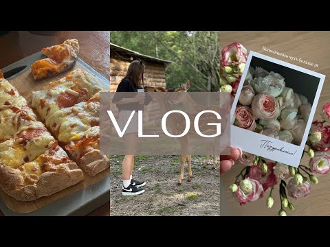 Видео: Vlog: Одежда и ПОКУПКИ на осень для детей / ОКРАШИВАНИЕ волос / Аэрогриль Xiaomi / Мире 5 месяцев