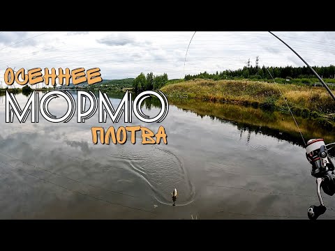 Видео: Поплавочник прикормил местечко. Мормышинг Наноджиг Ультралайт 