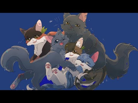 Видео: тест на целителя! "Коты воители"