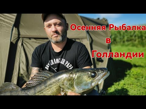 Видео: ОСЕННЯЯ  РЫБАЛКА в Нидерландах  2024 !!!