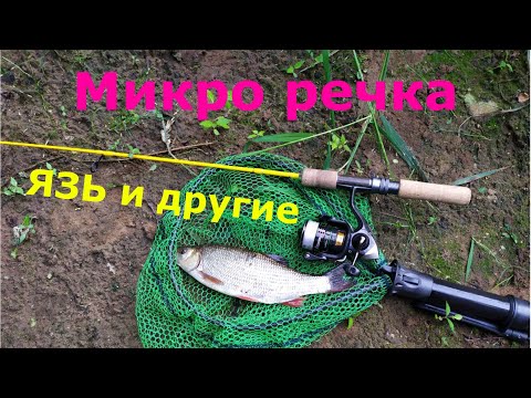 Видео: #439 #мормышинг  | Малая река | Язь, лещ, плотва, окунь |