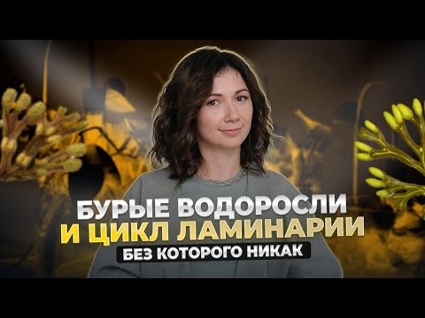 Видео: НЕ ЗНАЕШЬ ЦИКЛ ЛАМИНАРИИ? НЕ СДАШЬ ЕГЭ!