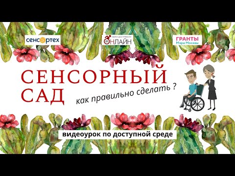 Видео: Сенсорный сад