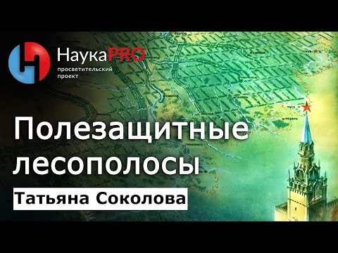 Видео: Полезащитные лесополосы: история, значение, современное состояние – Татьяна Соколова | Научпоп