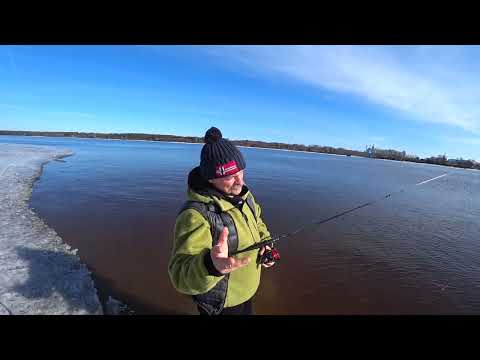 Видео: Тестируем Taifun Professional по джиговым приманкам.