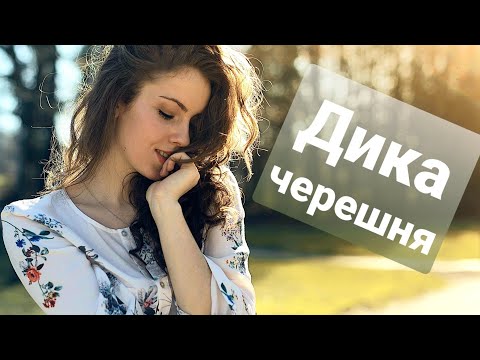Видео: Дика черешня - Павло Доскоч
