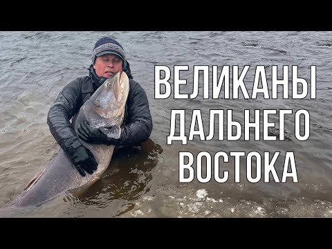 Видео: Великаны Дальнего Востока (таймень, рыбалка)
