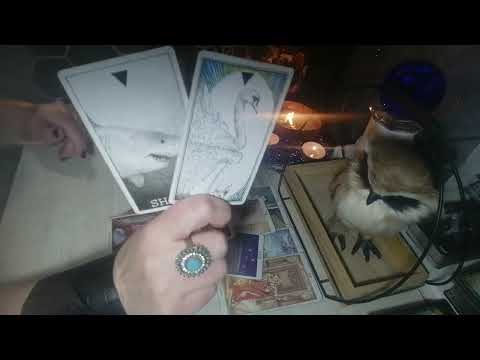 Видео: 🔥🤷‍♀️Лучше присесть🔥. Что у Вас  на пороге с ним🤷‍♀️🔥