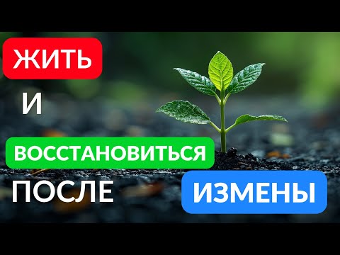 Видео: Преодолеть боль измены и восстановиться на зло всему