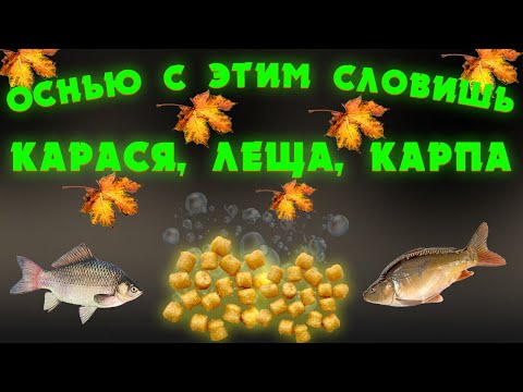 Видео: Насадка для рыбалки на КАРПА, КАРАСЯ, ЛЕЩА. Не слетает при дальнем забросе.