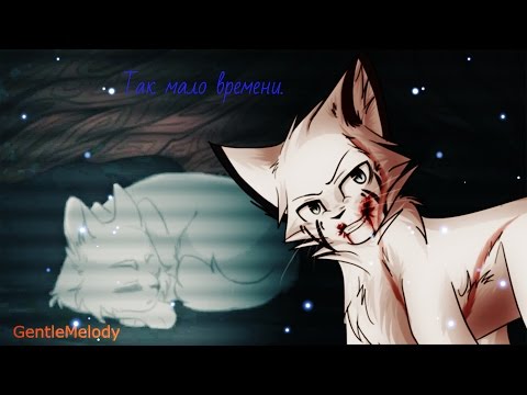 Видео: Сумрачный Лес: Снегоухий - Так мало времени.