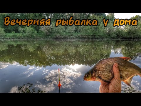 Видео: Вечерняя рыбалка у дома на поплавок!Май 2023.