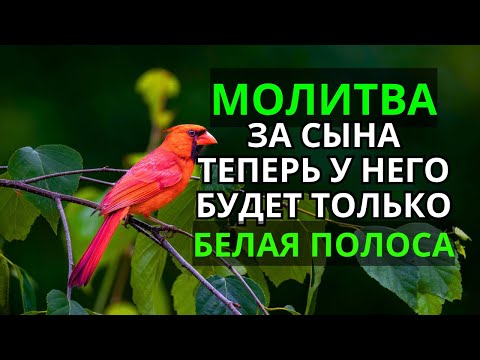 Видео: 🔑 Каждая Мать должна послушать эту молитву! Очень сильная молитва за СЫНА от БЕДЫ, ПОРЧИ И Неудачи!