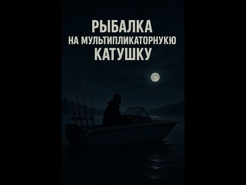 Видео: РЫБАЛКА В ПОЛНОЙ ТЕМНОТЕ! ЛОВЛЯ НА МУЛЬТИПЛИКАТОРНУЮ КАТУШКУ