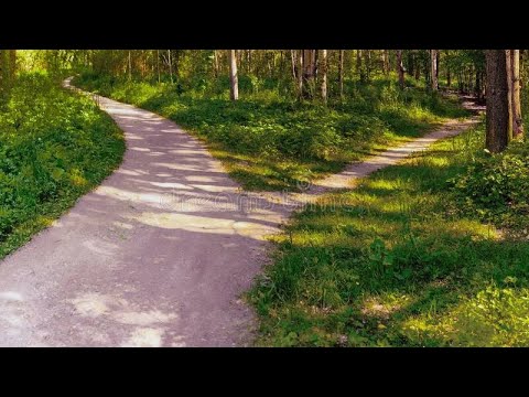 Видео: ВЫ НА ВЫБОРЕ☝️ЧТО ДЕЛАТЬ?☝️☝️☝️