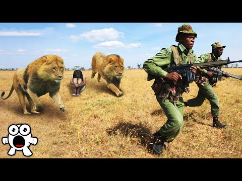 Видео: Дикие Животные, Которые Спасли Людей