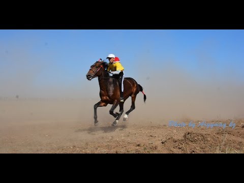 Видео: Ұларбек Нұрғалым, Кертөбел