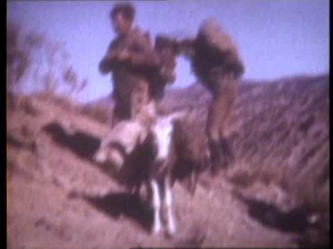 Видео: 345-й гвардейский отдельный парашютно-десантный полк