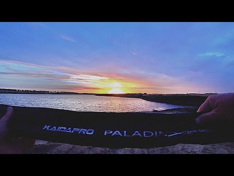 Видео: Бюджетный спиннинг Kaida Paladin очень интересный спиннинг часть 2