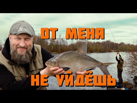 Видео: ОН ЭТО ЛЮБИТ! ЛУЧШАЯ ДОБАВКА для ЛЕЩА. Рыбалка на ФИДЕР весной.