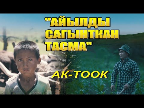 Видео: Айылга кеттик | Ак Тоок, Сузак району | Биздин айыл