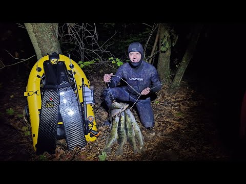 Видео: Підводне полювання на СУДАКІВ