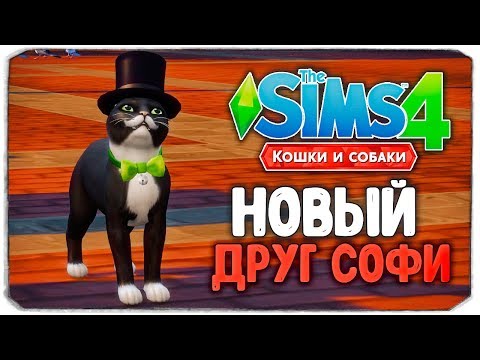 Видео: НОВЫЙ ДРУГ СОФИ -  The Sims 4 - "Кошки и Собаки" ▮