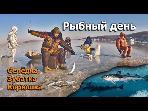 Видео: Рыбалка на самодур. Моим снастям завидуют все рыбаки!