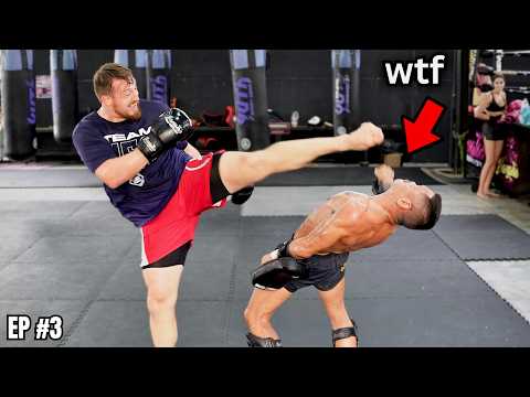 Видео: Я тренировался муай-тай в ТАИЛАНДЕ