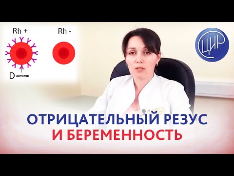 Видео: Резус-отрицательная кровь и беременность, резус-конфликт и резус-сенсибилизация.