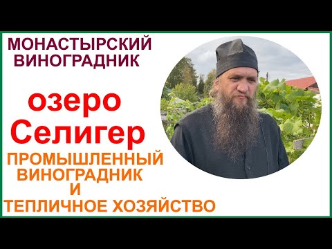 Видео: Нило-Столобенская пустынь. Промышленный виноградник и тепличное хозяйство.