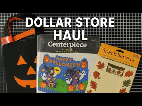 Видео: ПОТРЯСАЮЩАЯ находка из независимого магазина «Доллар»! Уникальные вещи!