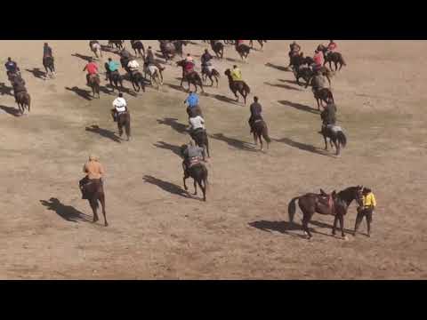 Видео: Буз каши дар Каратов Фархор 26.01.2025