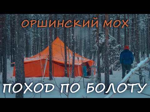 Видео: Лыжный поход по болоту Оршинский Мох, Тверская область