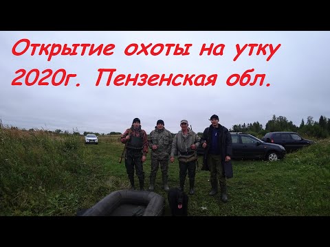 Видео: Открытие охоты на утку 2020 на Кузнецком торфяном болоте.
