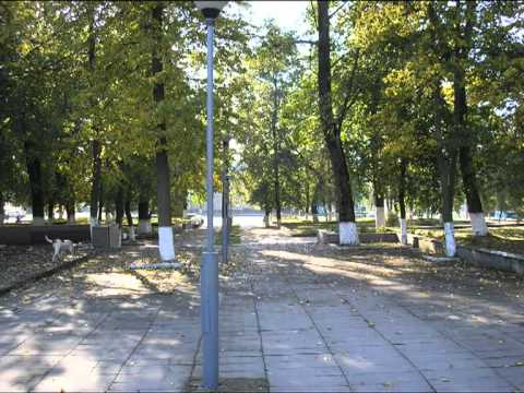 Видео: БСШ фильм Берестовица