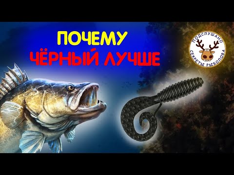 Видео: СИЛИКОНОВЫЕ ПРИМАНКИ ЧЕРНОГО ЦВЕТА 🔥 ПОЧЕМУ ОНИ РАБОТАЮТ ДАЖЕ НА ЧЕРНОМ ИЛИСТОМ ДНЕ, ГДЕ ИХ НЕ ВИДНО
