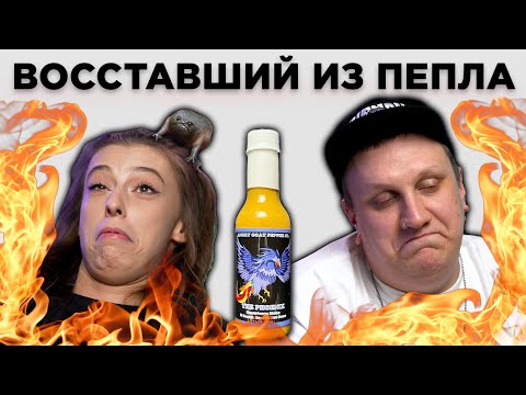 Видео: ОРДЕН ФЕНИКСА и другие острые новинки из США