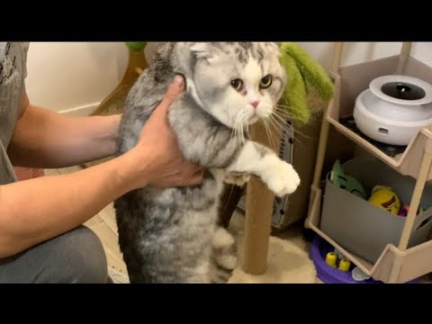 Видео: Как Веня не хотел от Мими уезжать ..)
