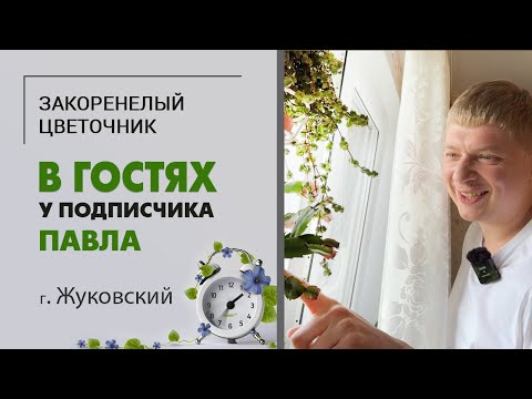 Видео: В гостях у Павла г. Жуковский. Шикарная коллекция растений на небольшой площади.