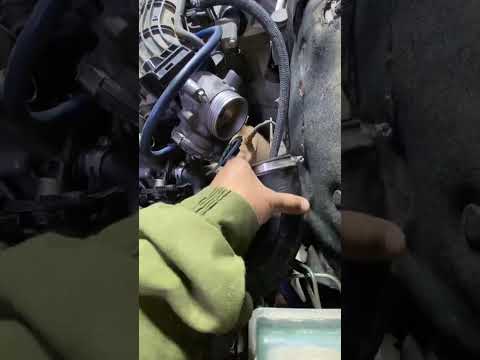 Видео: #дусяшым 