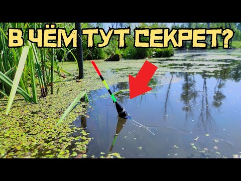 Видео: ПРИДУМАЛ ХИТРОСТЬ и ПОЙМАЛ КАРАСЕЙ! Рыбалка на поплавок в ПРУДУ УДИВИЛА! Ловля рыбы в июне 2025.