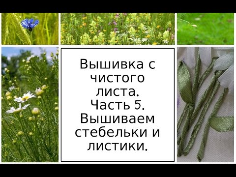 Видео: Вышивка с чистого листа. Часть 5. Вышиваем стебельки и листики. Разживалова Наталья