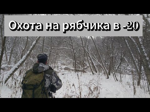 Видео: ОХОТА НА РЯБЧИКА В МОРОЗ -20 . ПОПЫТКА НЕ ПЫТКА.