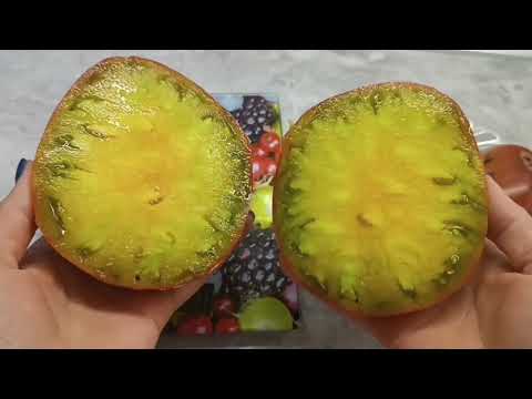 Видео: ДЕГУСТАЦИЯ ТОМАТОВ И ОБЗОР 🍎 √2. 2025.