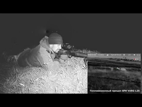 Видео: ОХОТА НА ЛИСУ С БЮДЖЕТНЫМ ТЕПЛОВИЗОРОМ SFH VARG L25