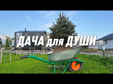 Видео: ДАЧА для ДУШИ: про благоустройство участка, ошибки и проект.