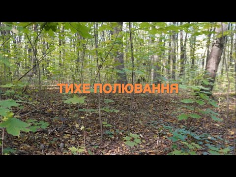 Видео: Тихе полювання біля Пʼятничан, Вінниця😉20.10.24