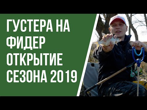 Видео: Ловля густеры на фидер  Открытие сезона 2019