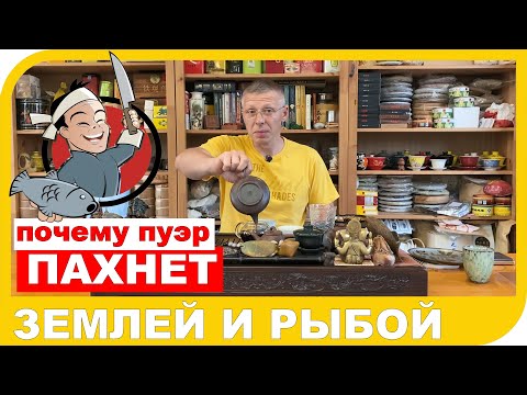 Видео: ПОЧЕМУ ПУЭР ПАХНЕТ РЫБОЙ ИЛИ ЗЕМЛЕЙ???